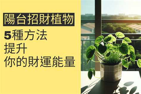 前陽台 招財植物|招財有道：前陽台植物如何選擇